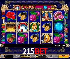 Descubra o Mundo do Cassino Online com 215bet